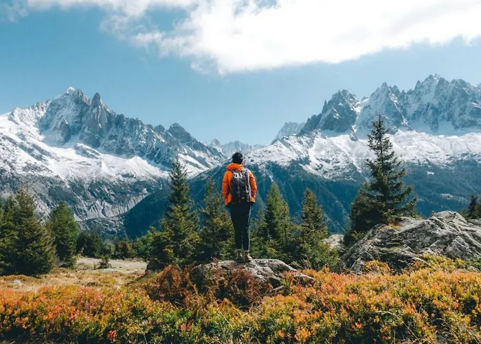 1 - Cosy Loft 아파트